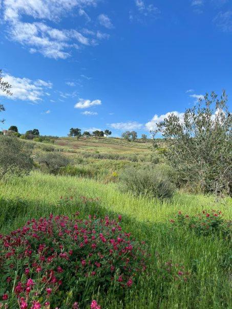 Vila Casa Country Agrigento Exteriér fotografie