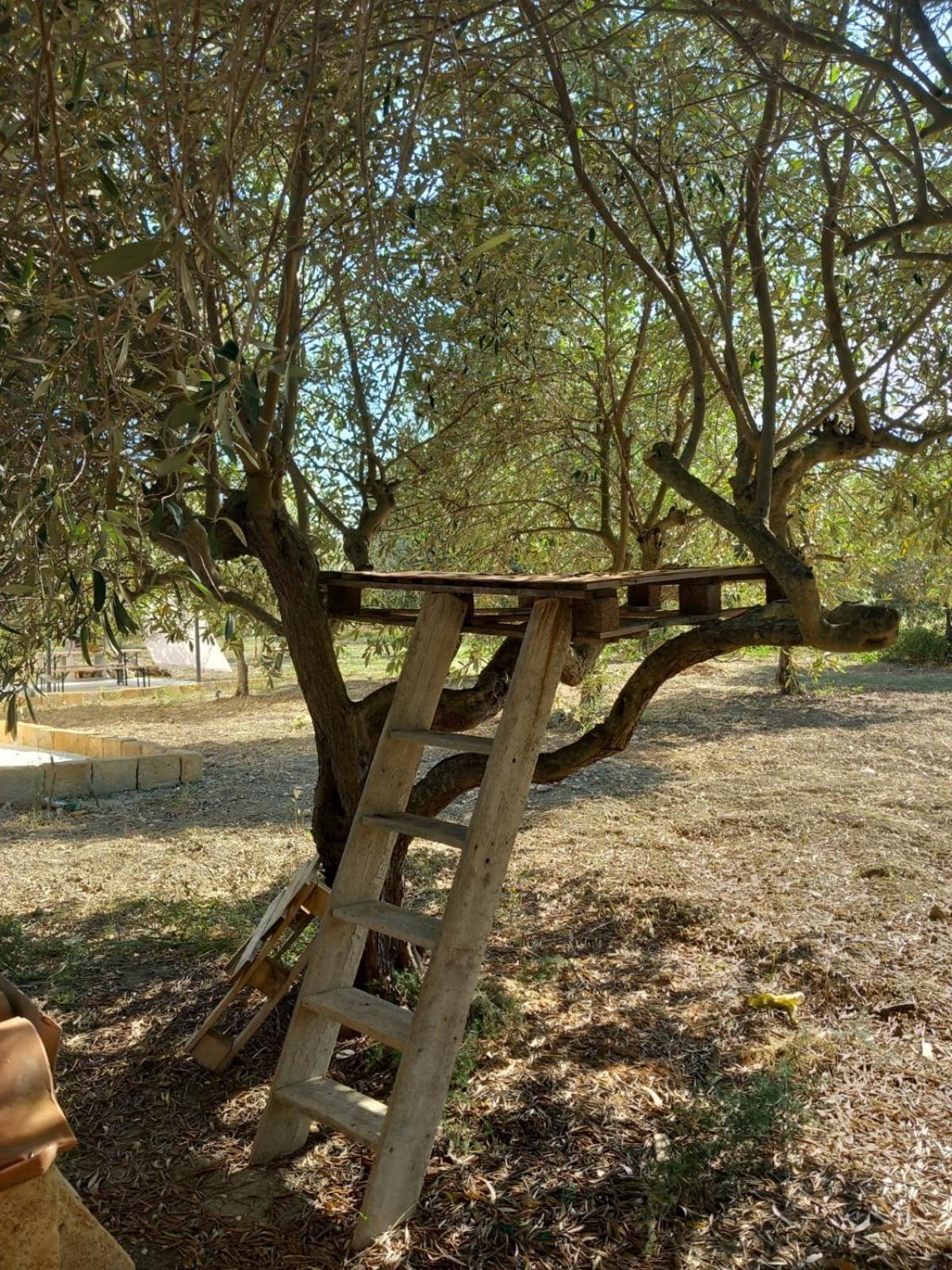 Vila Casa Country Agrigento Exteriér fotografie