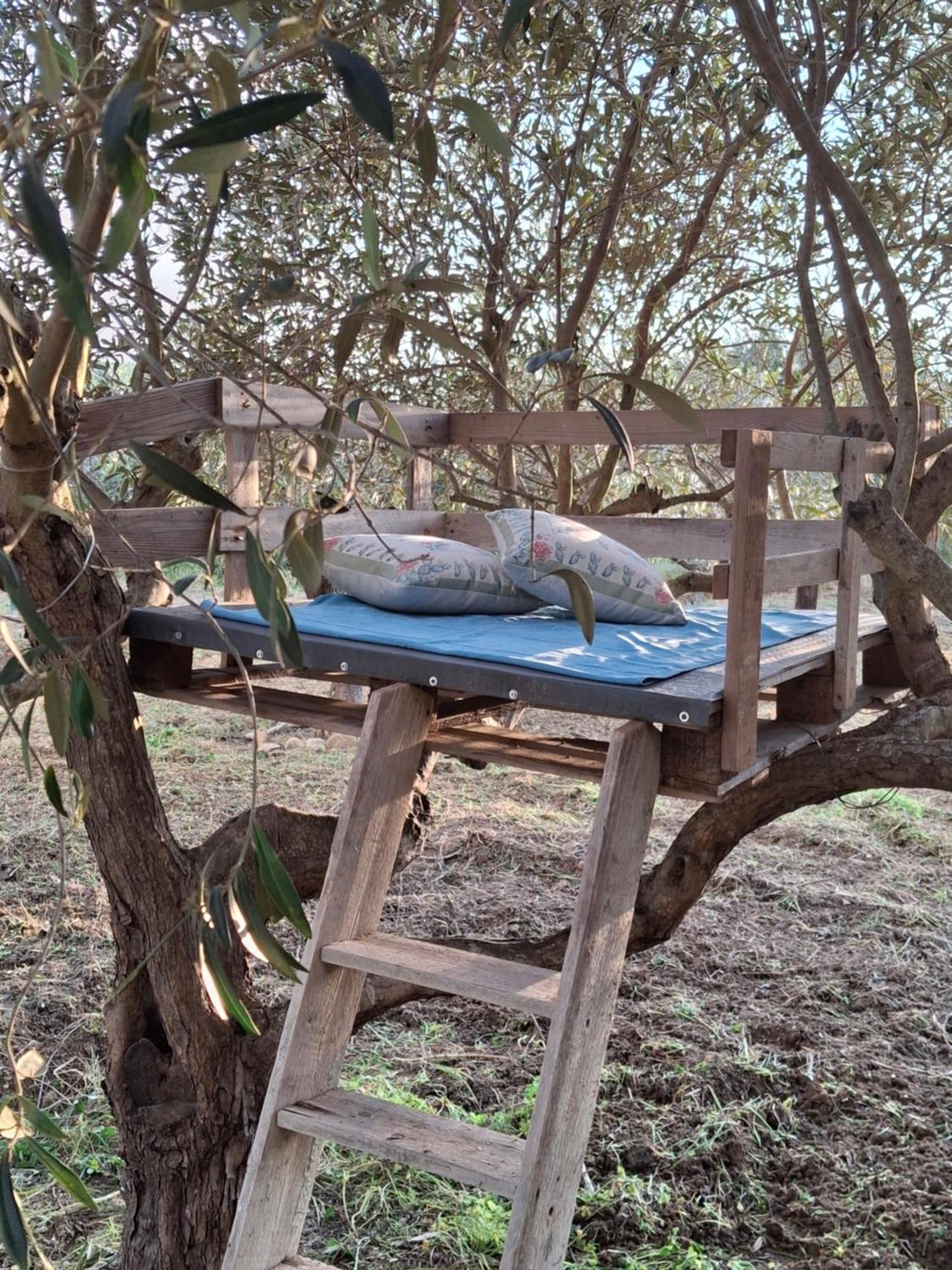 Vila Casa Country Agrigento Exteriér fotografie